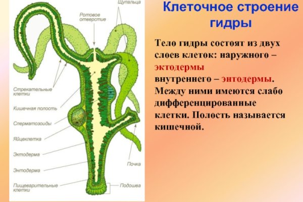 Кракен сайт даркнет зеркало