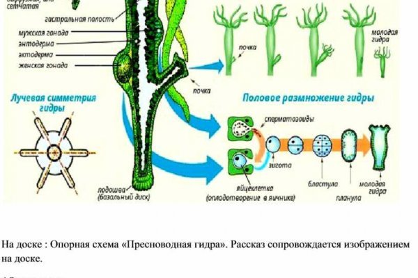 Кракен как зарегистрироваться