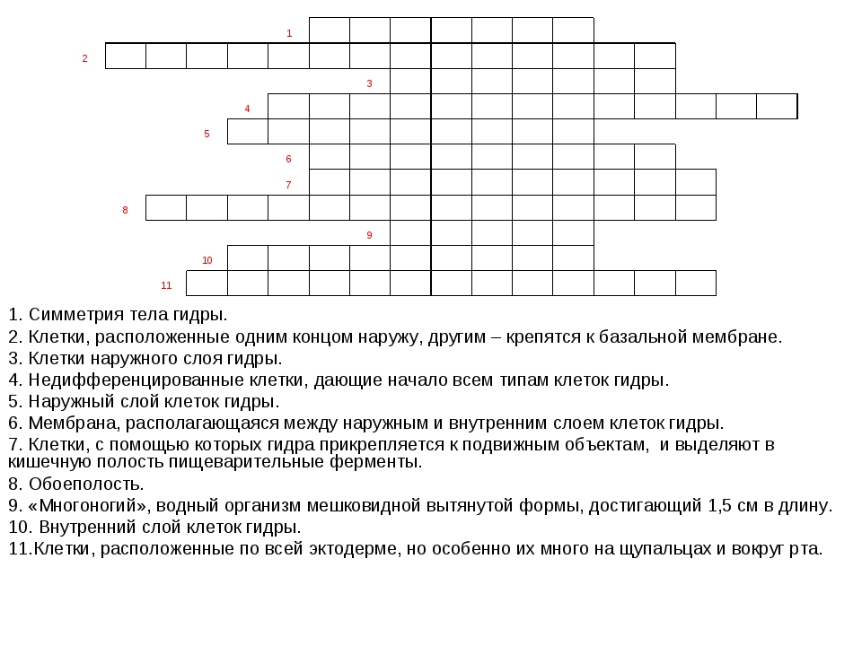 Ссылка в магазин на кракен